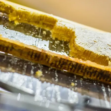 Udalla Park - & شقة فندقية بلايا ذي لاس أميريكاس