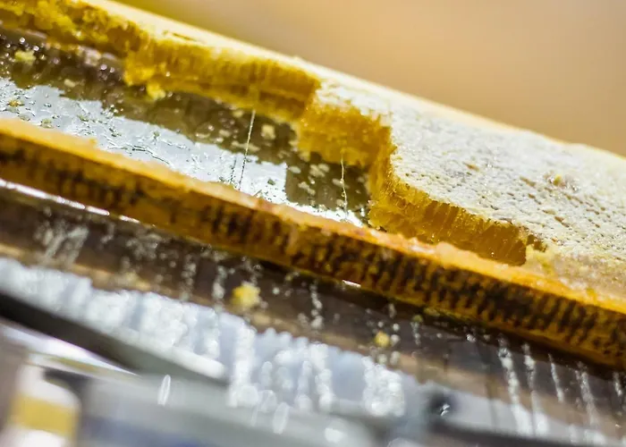 Udalla Park - & Apart-hotel Playa de las Americas (Tenerife)